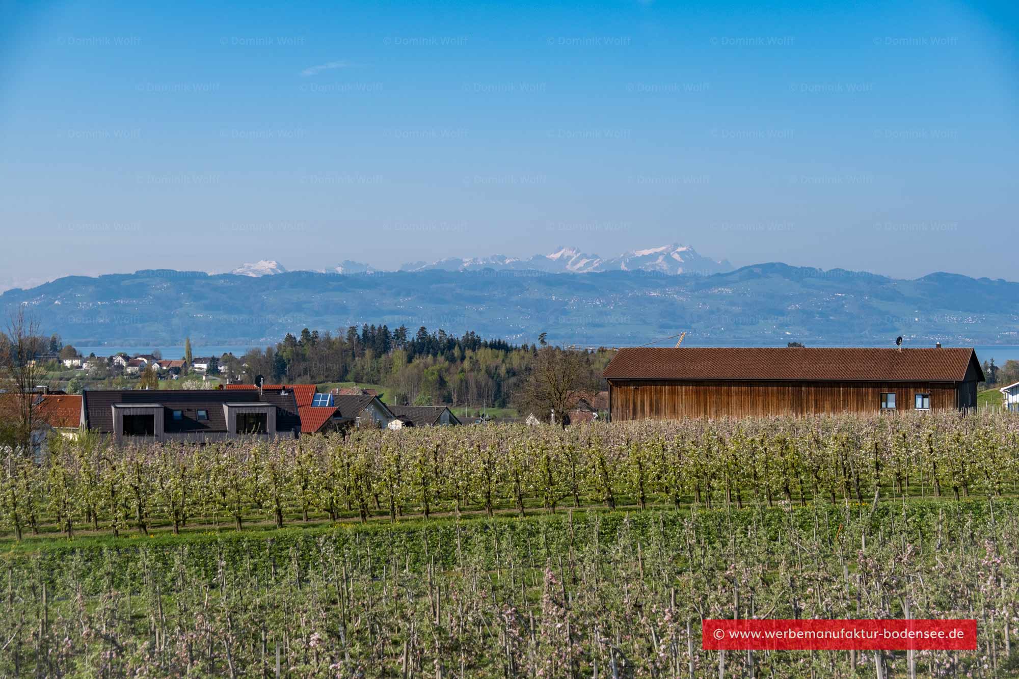 Bild + Foto - Bodolz am Bayerischen Bodensee