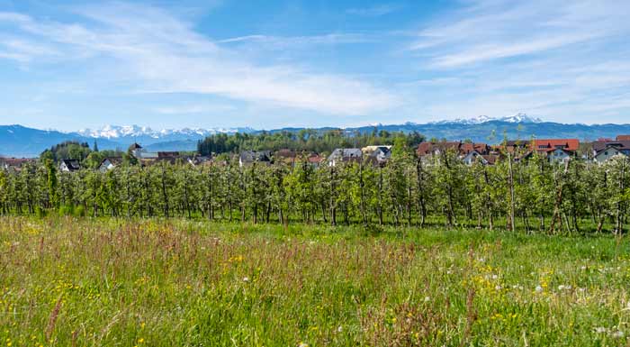 Hattnau am Bayerischen Bodensee