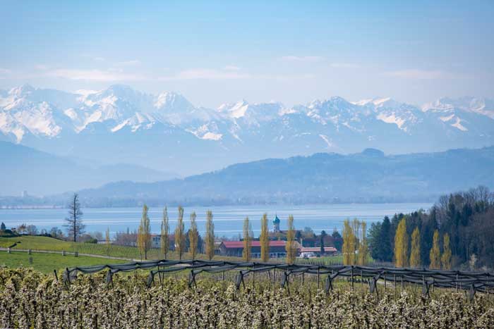 Hege am Bayerischen Bodensee
