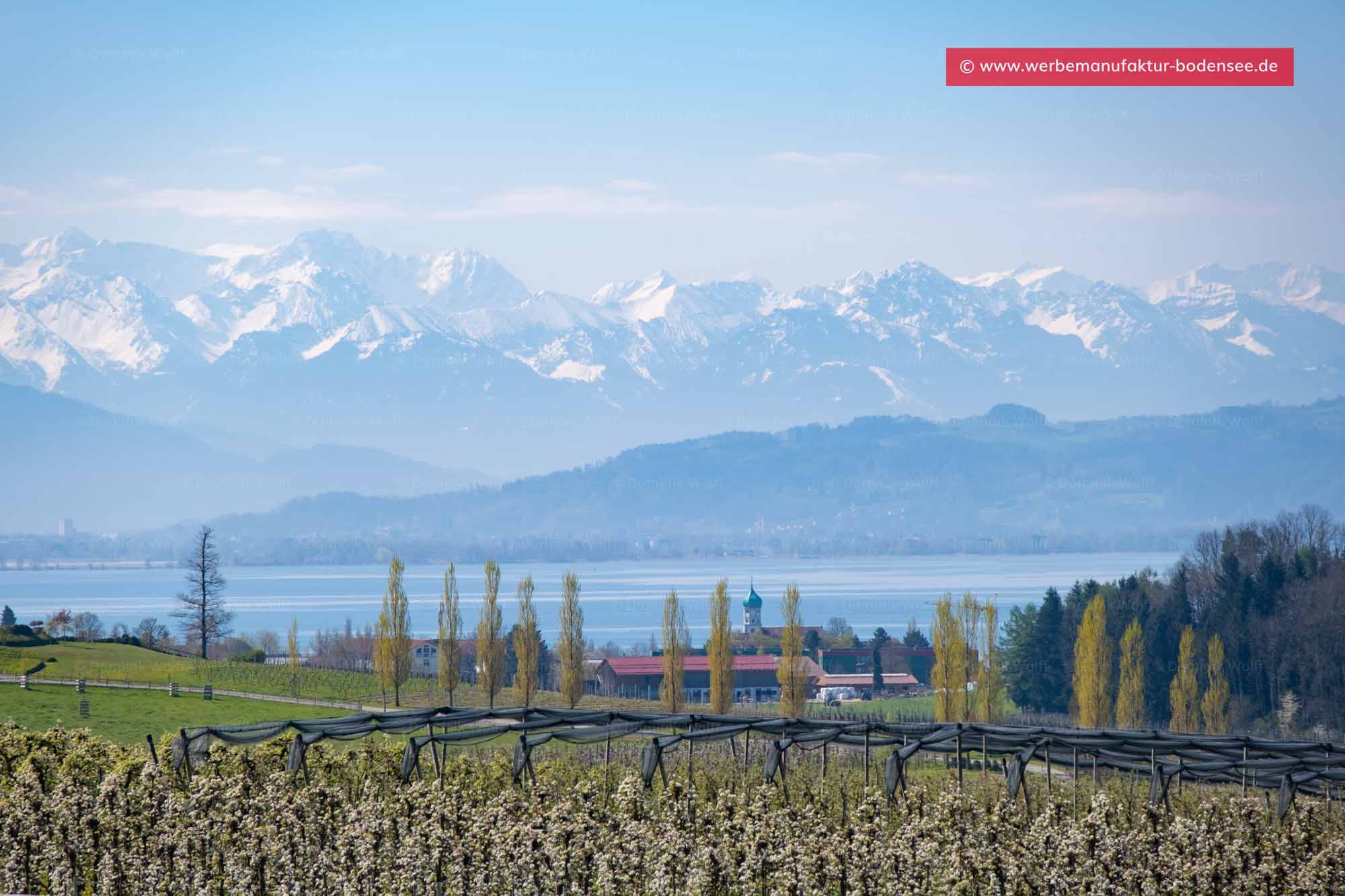 Bild + Foto - Hege (Wasserburg am Bodensee) mit Alpenpanorama