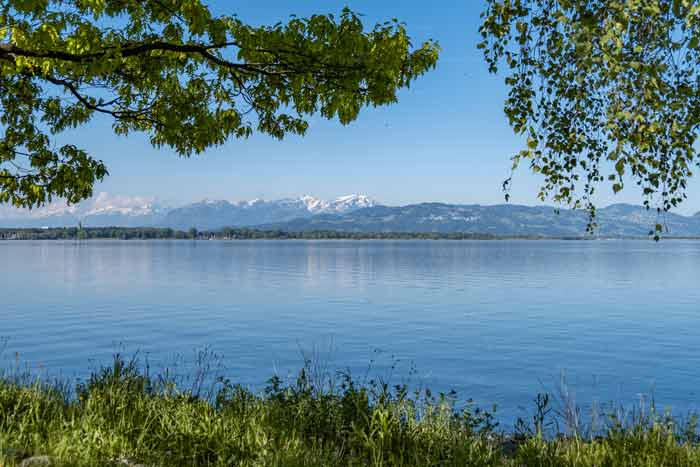 Reutiner Bucht - Bayerischer Bodensee