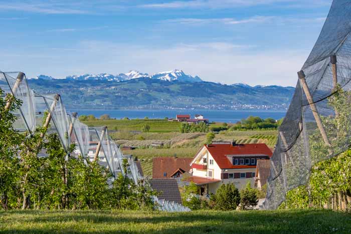 Obstfelder am Bayerischen Bodensee