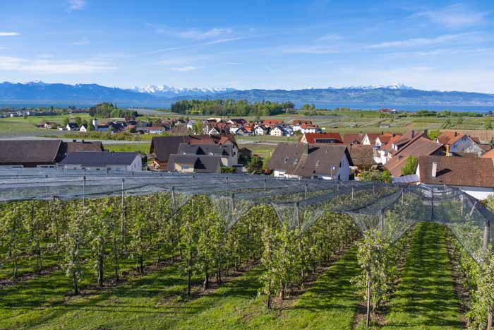 Bodenseedörfer Selmnau und Hattnau