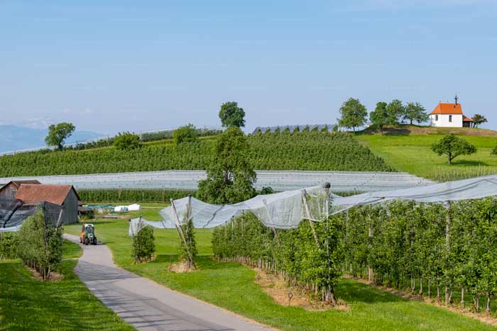 Obstanbaugebiet Bayerischer Bodensee