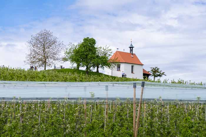 Antoniuskapelle in Selmnau