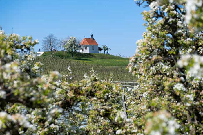 Antoniuskapelle am Bayerischen Bodensee