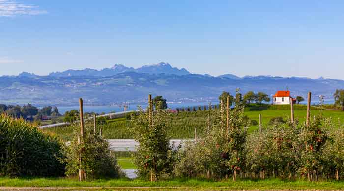 Selmnau (Wasserburg am Bayerischen Bodensee)