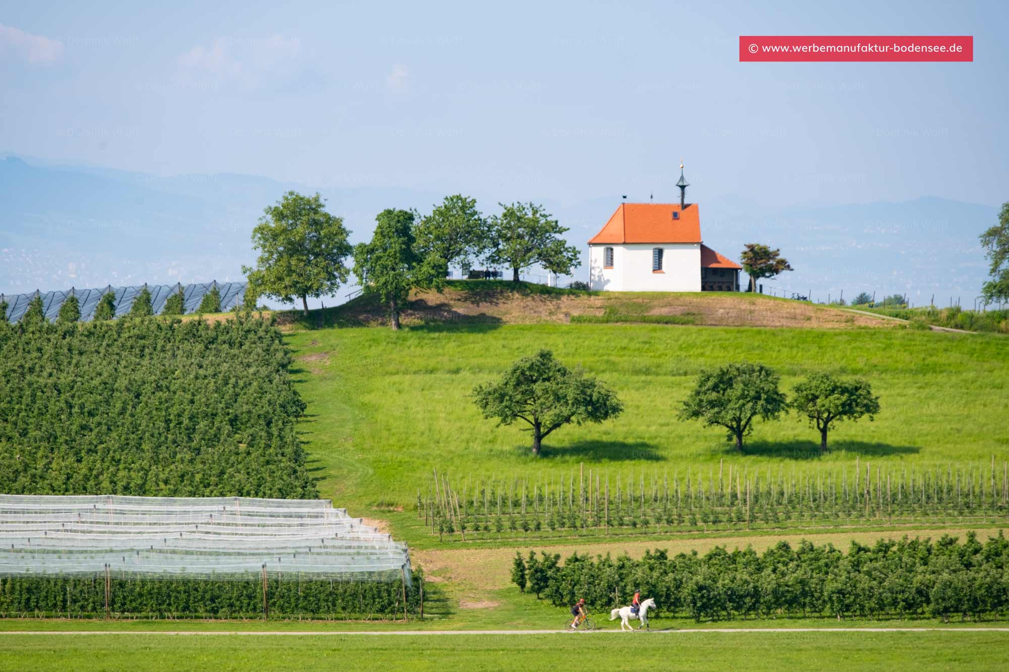 Bild + Foto - Antoniuskapelle in Wasserburg am Bodensee