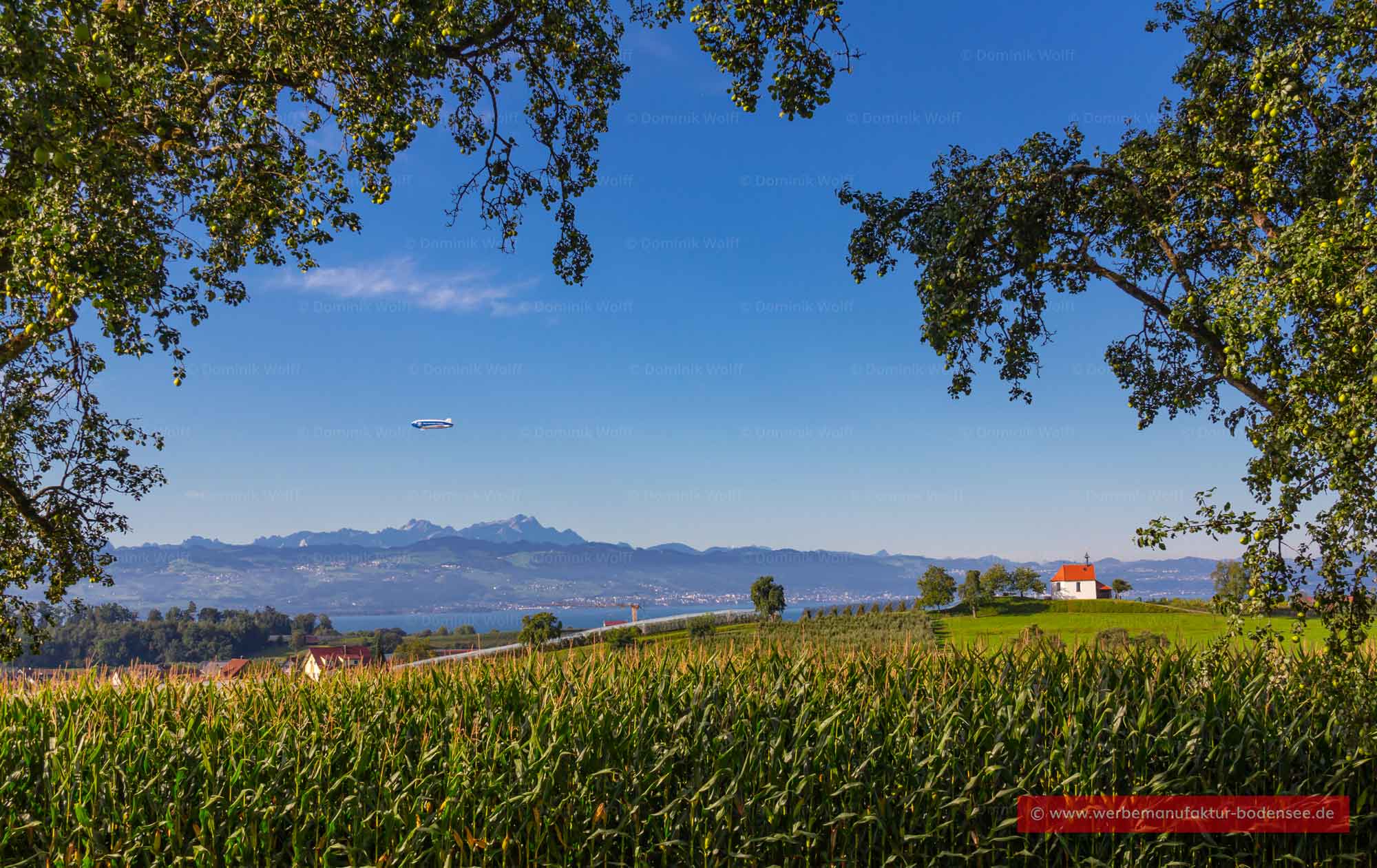 Bild + Foto - Säntis (Appenzeller Alpen) vom Bayerischen Bodensee