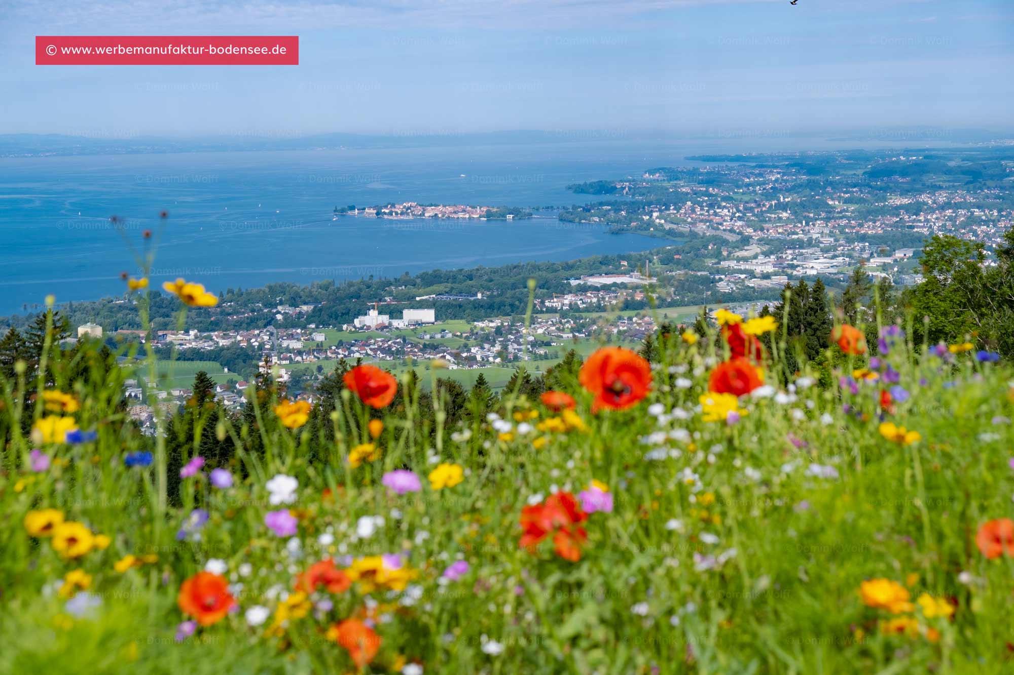 Blick auf den Bayerischen Bodensee