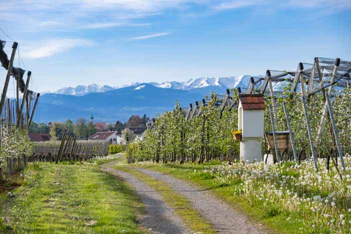 Bildstock in Nonnenhorn am Bodensee