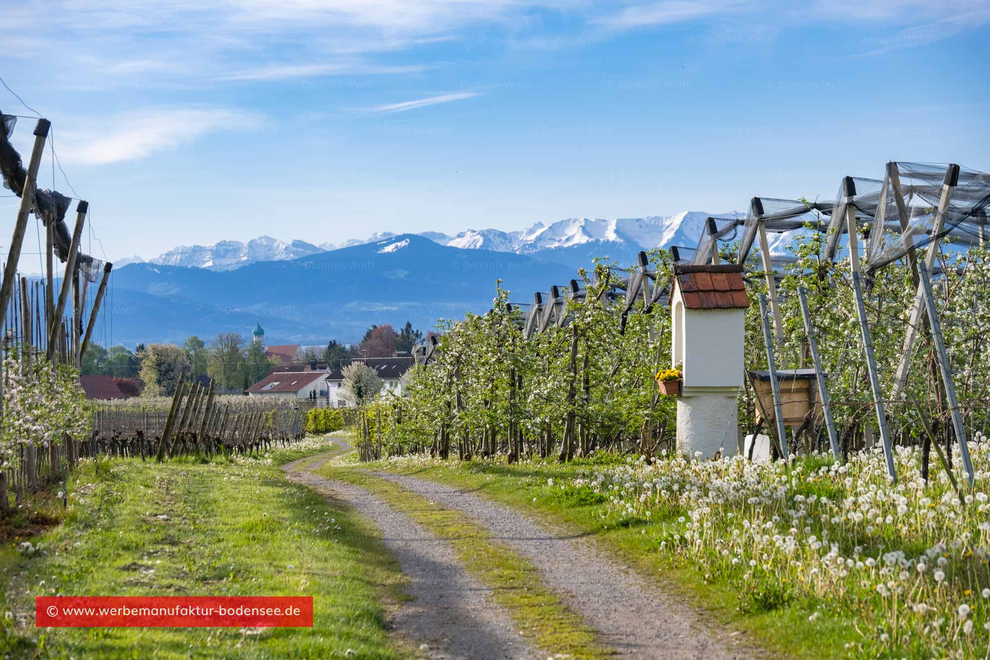 Bild + Foto - Bildstock in Nonnenhorn am Bayerischen Bodensee