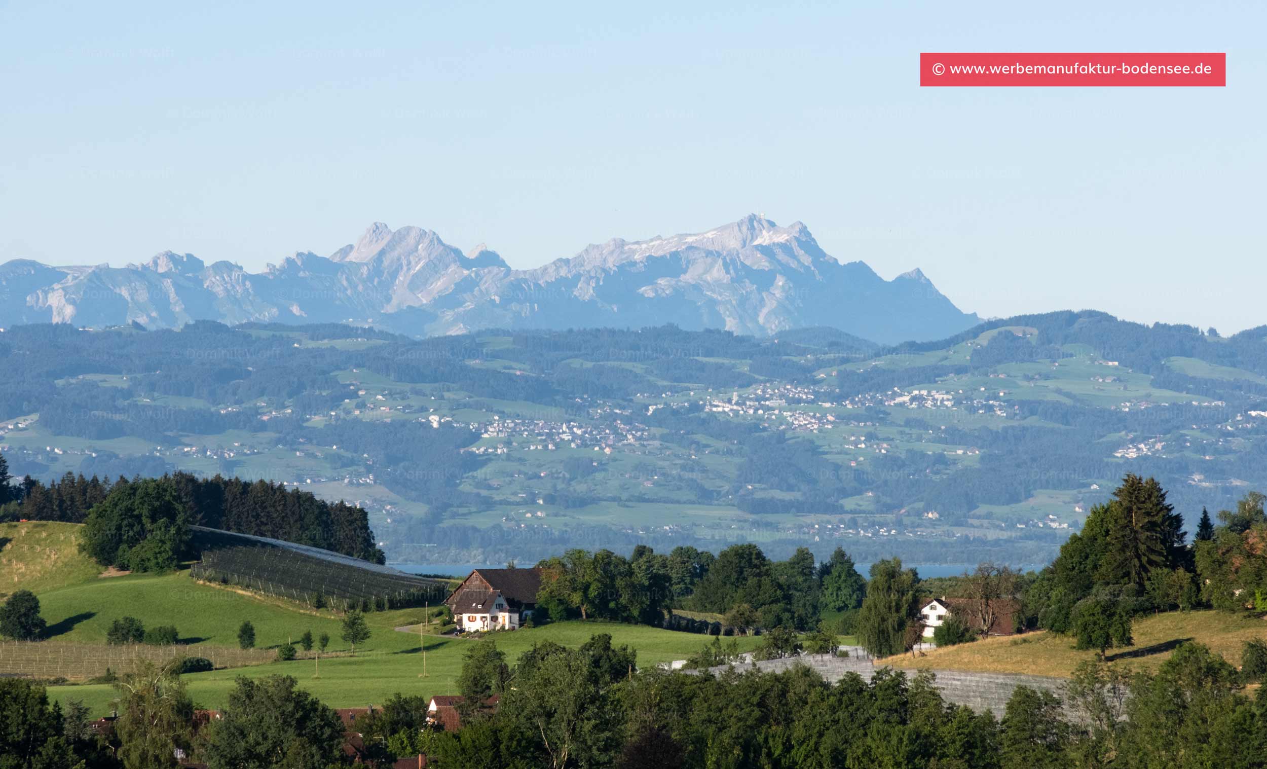 Bild + Foto - Dachsberg nahe Lindau Oberreitnau