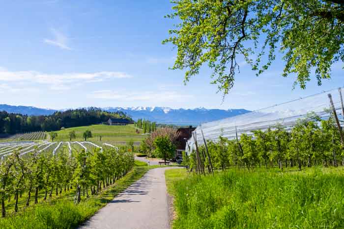 Selmnau am Bayerischen Bodensee