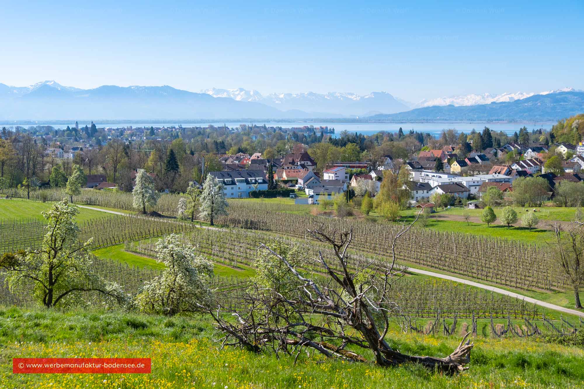 Entenberg am Bayerischen Bodensee