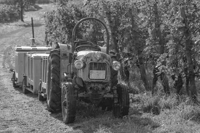 Nachhaltigkeit am Bayerischen Bodensee