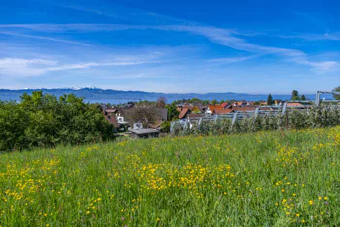 Hege am Bayerischen Bodensee