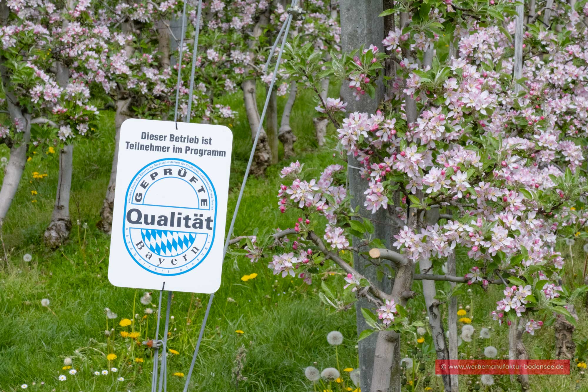 Qualität am Bayerischen Bodensee