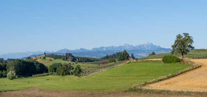 Jungmoränen am Bayerischen Bodensee