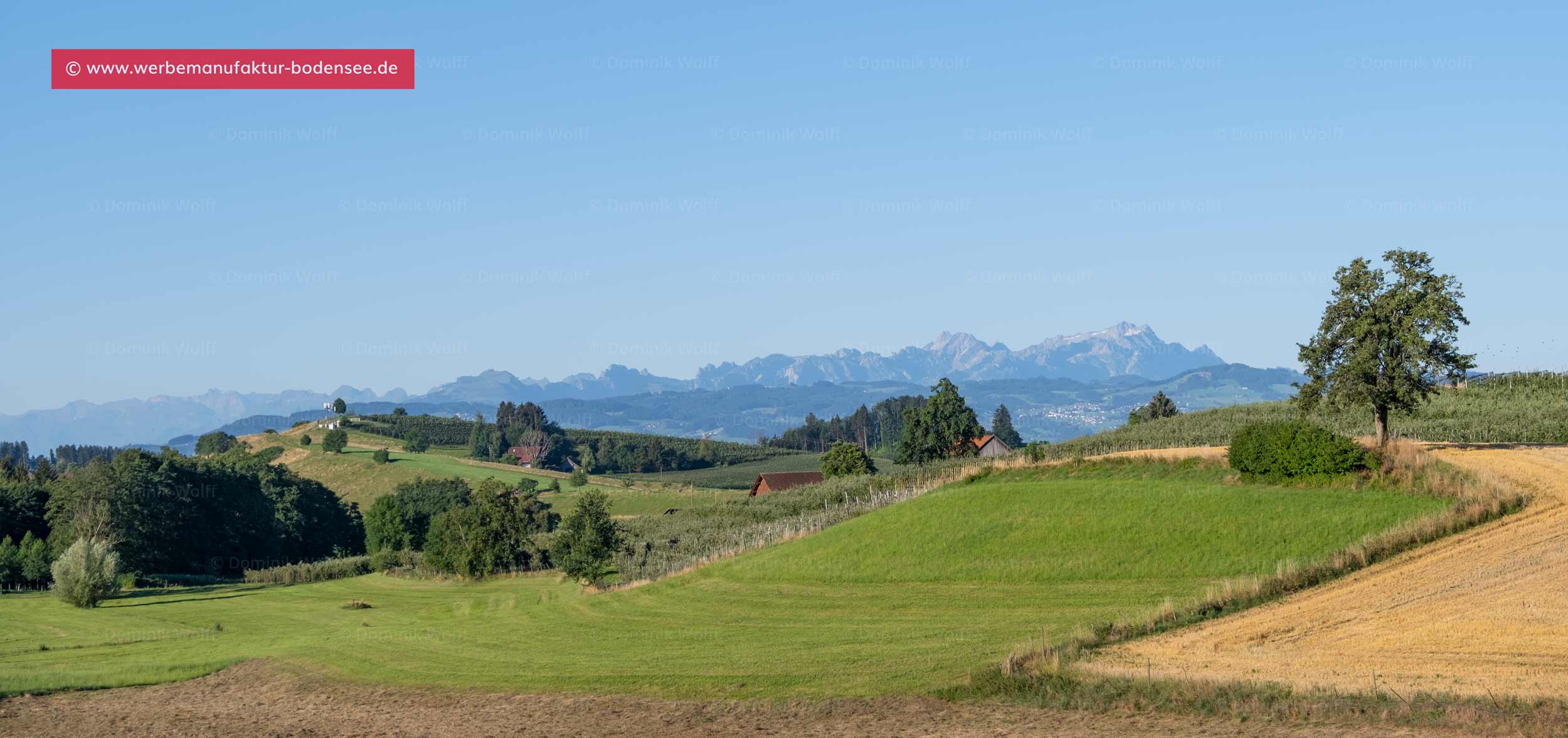 Bild + Foto - Hangnach - Jungmoräne am Bodensee