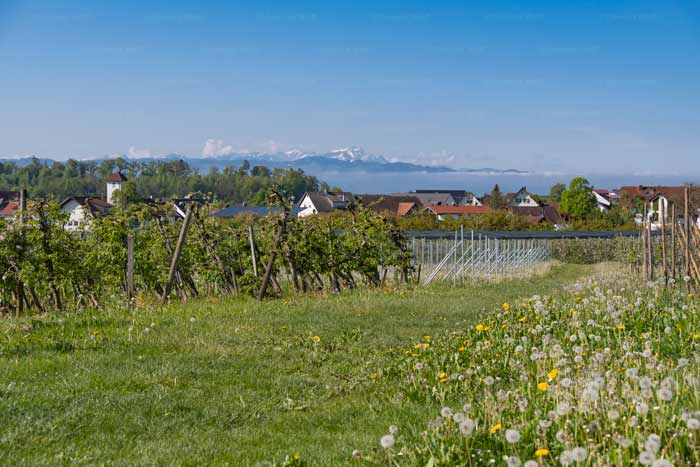 Hattnau am Bayerischen Bodensee