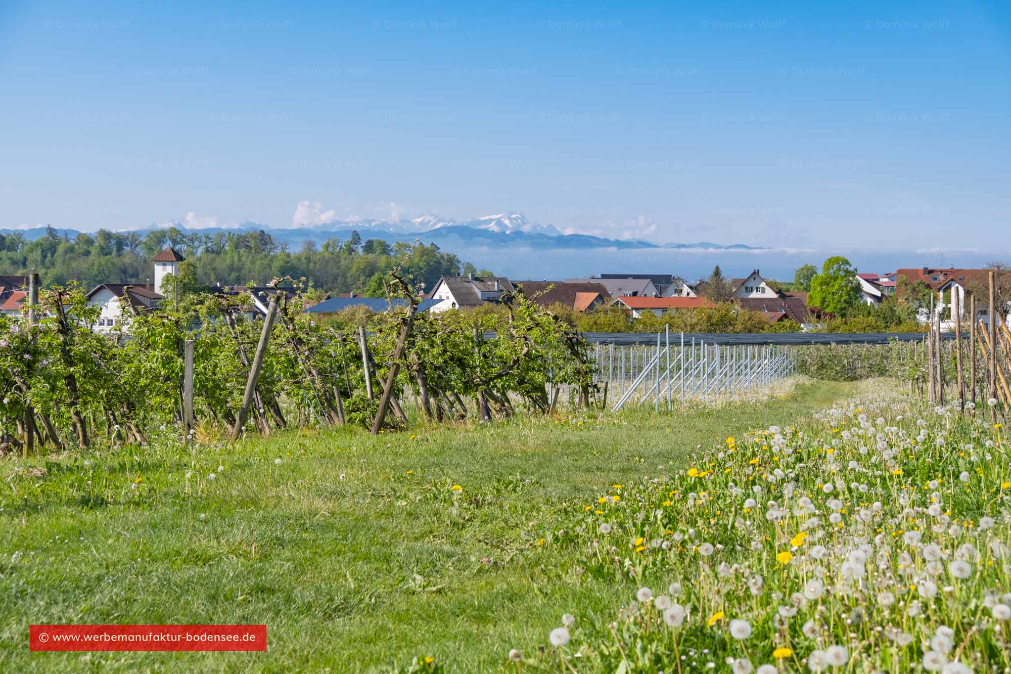 Hattnau am Bayerischen Bodensee