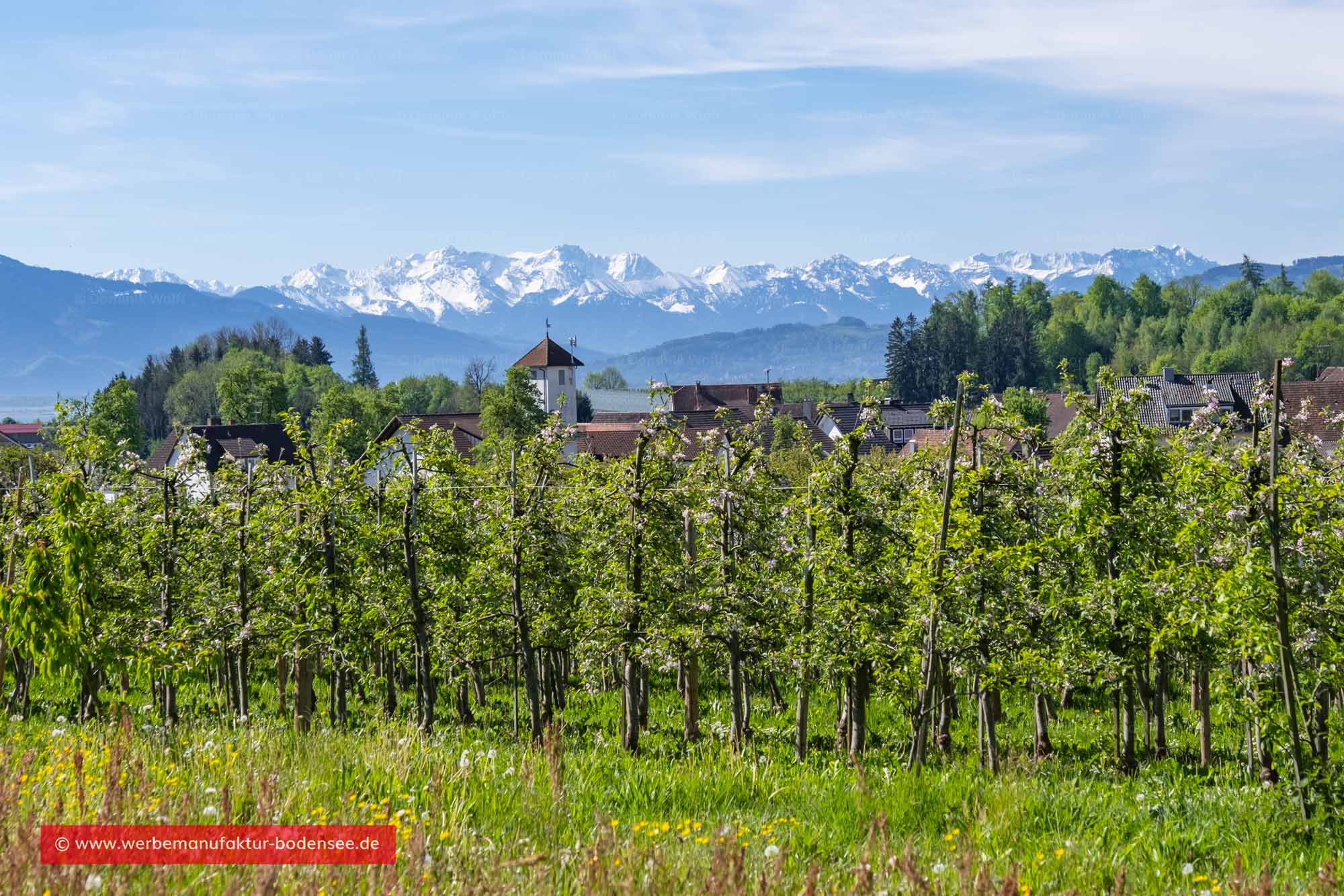 Hattnau am Bayerischen Bodensee