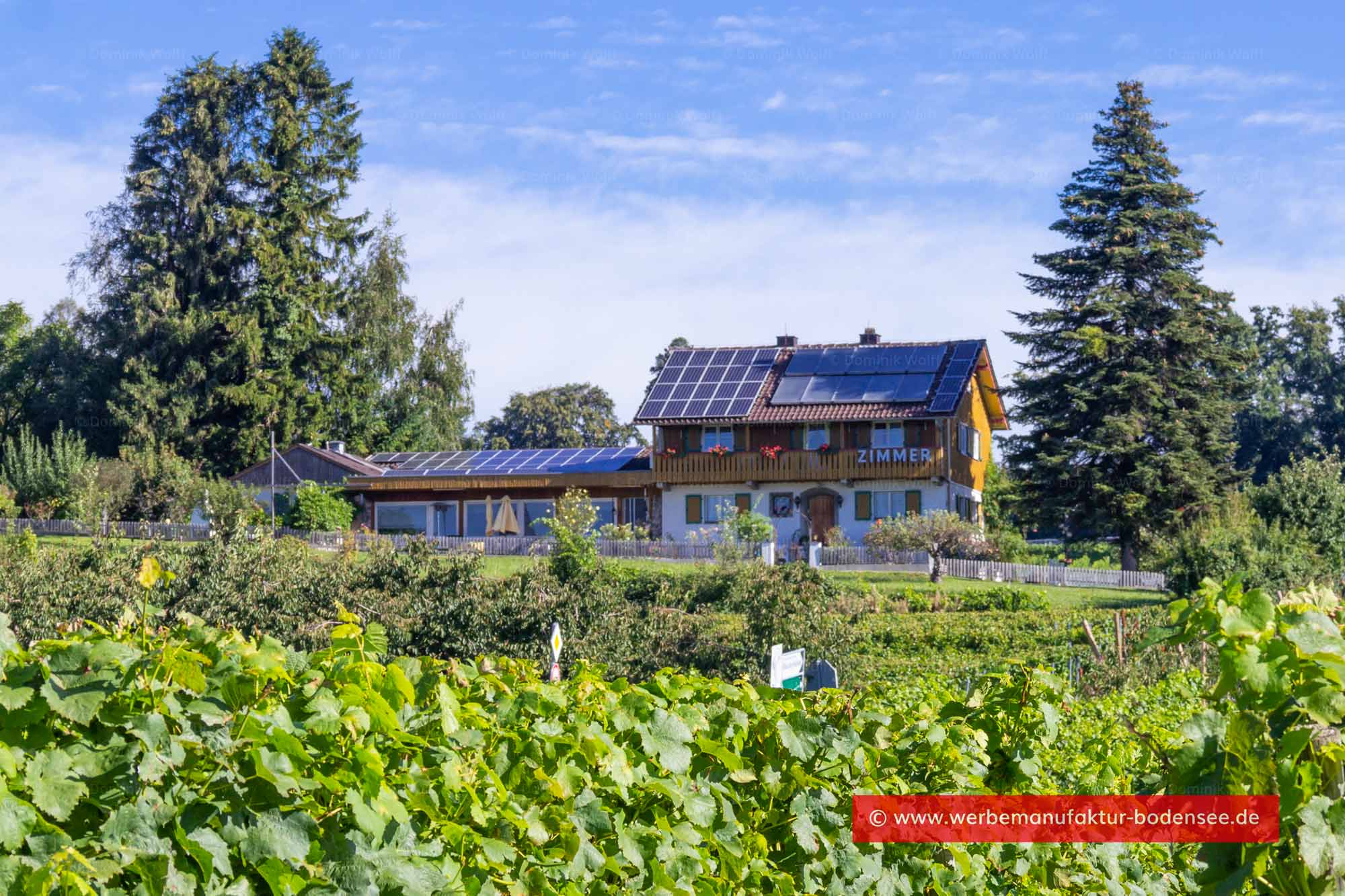 Bild + Foto - Gästehaus in Hege (Wasserburg am Bodensee)