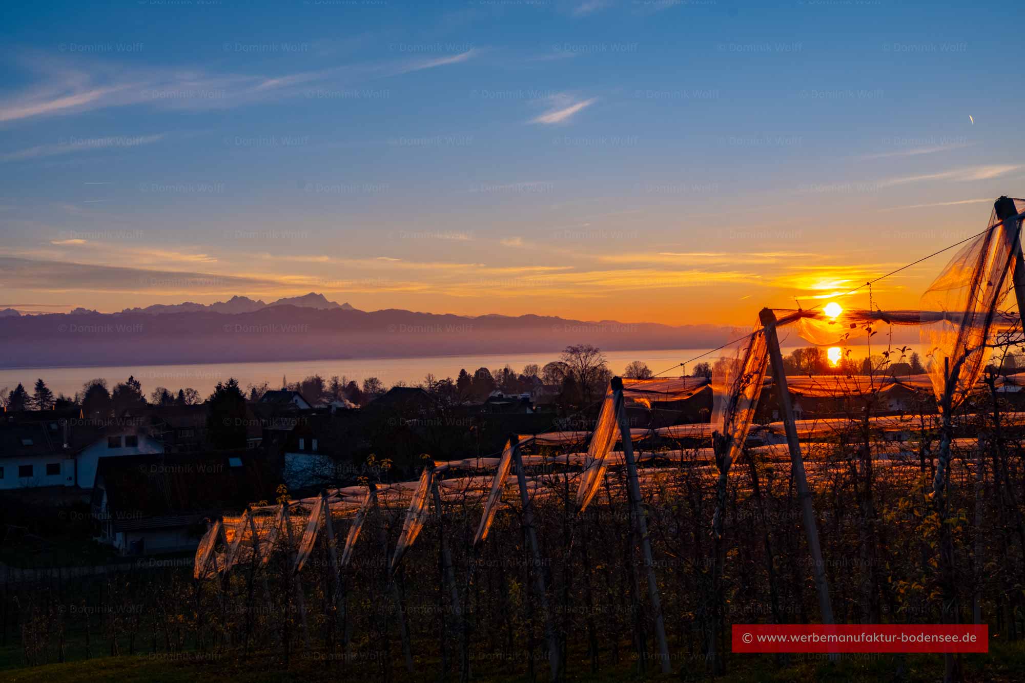 Bild + Foto - Hege am Bayerischer Bodensee