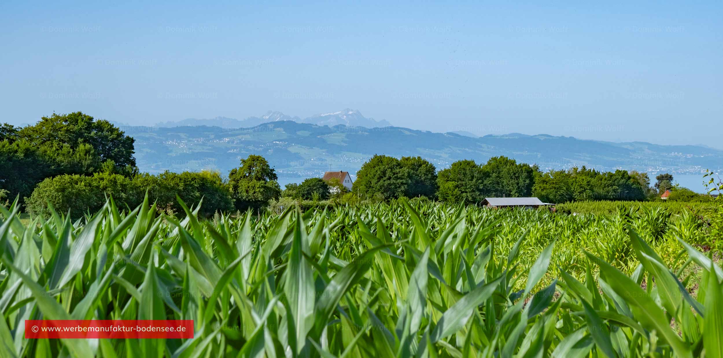 Bild + Foto - Fruchtbares Ackerland am Bodensee
