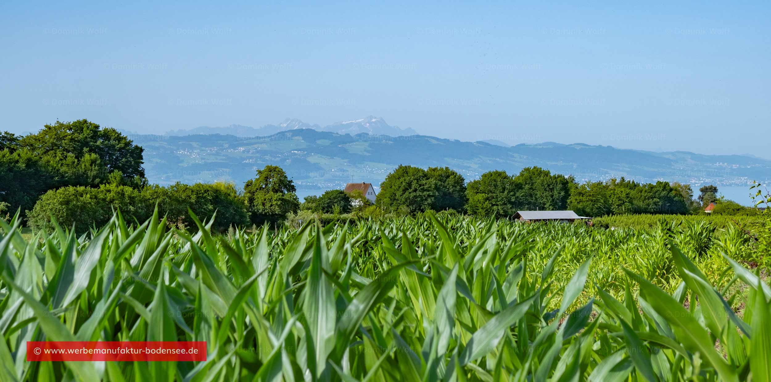 Fruchtbares Land am Bayerischen Bodensee