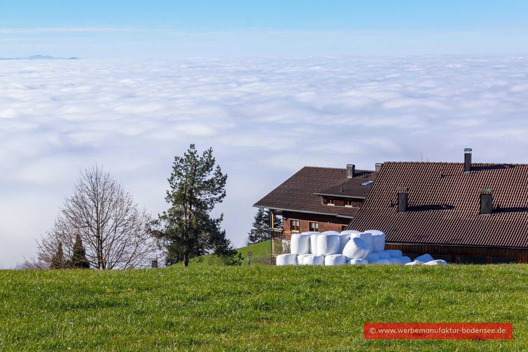 Bild + Foto - Inversionswetterlage und Hochnebel am Bodensee