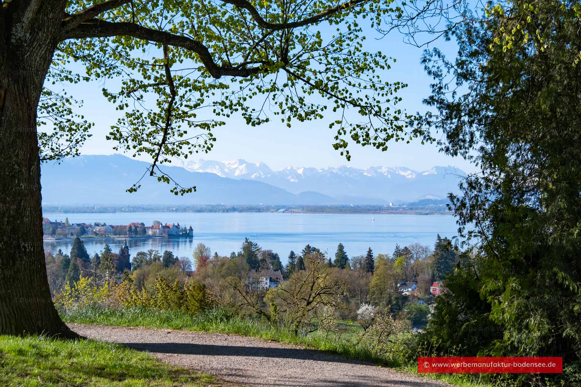 Bild + Foto - Blick auf die Lindauer Altstadtinsel