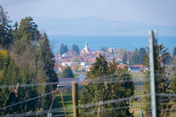 Blick vom Herrmannsberg