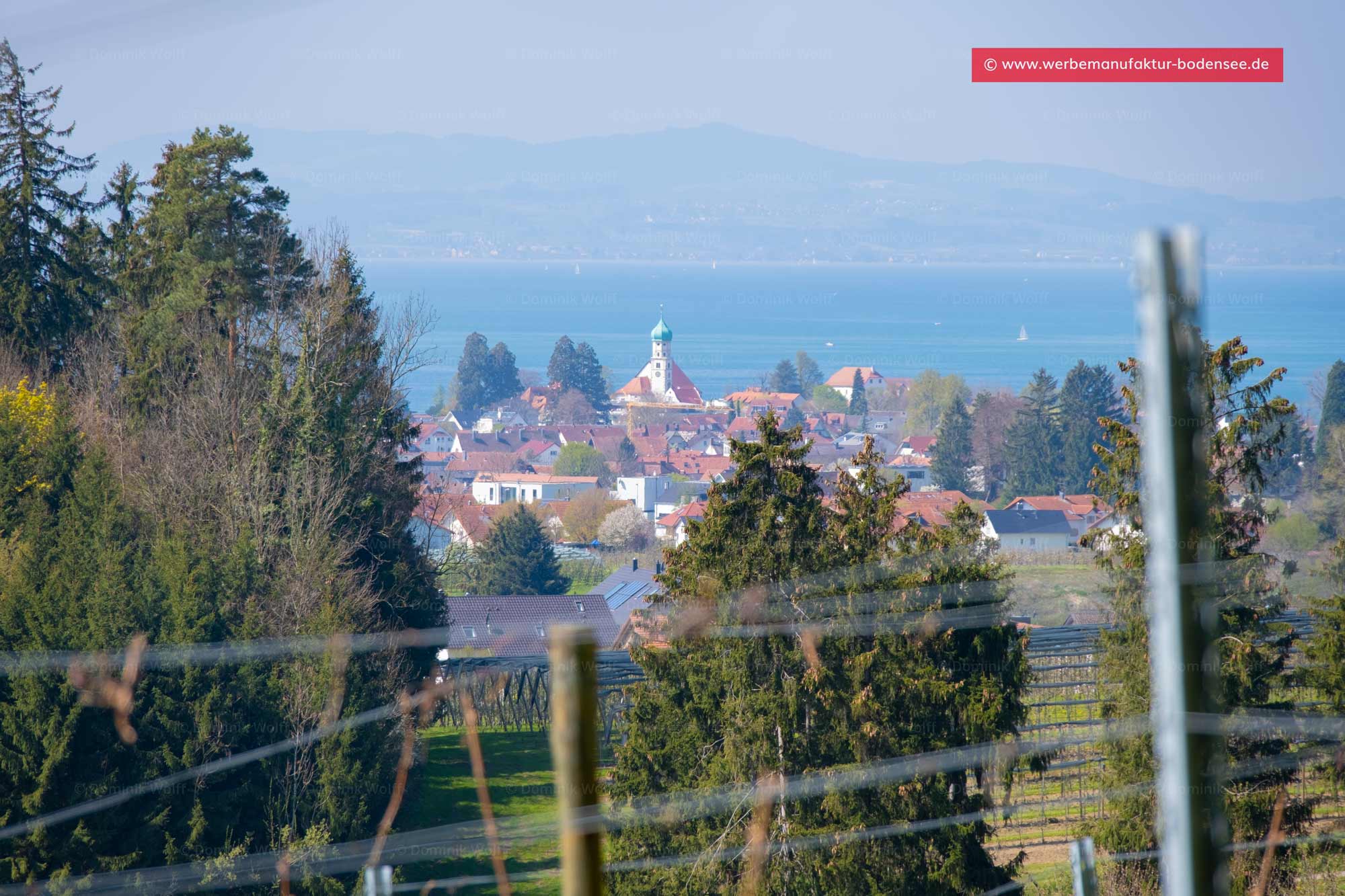 Bild + Foto - Blick Herrmannsberg in Bodolz auf den Bodensee