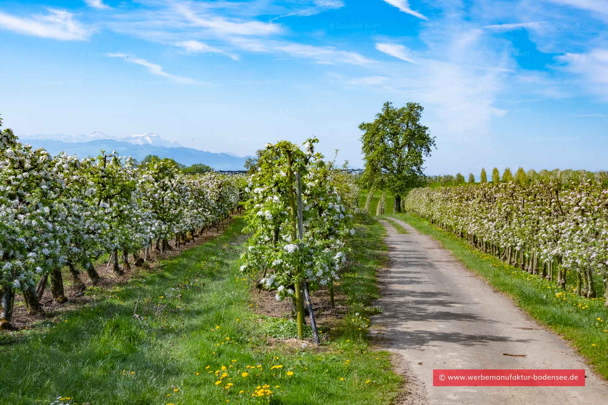 Bild + Foto - Landesgrenze Bayern mit BaWü