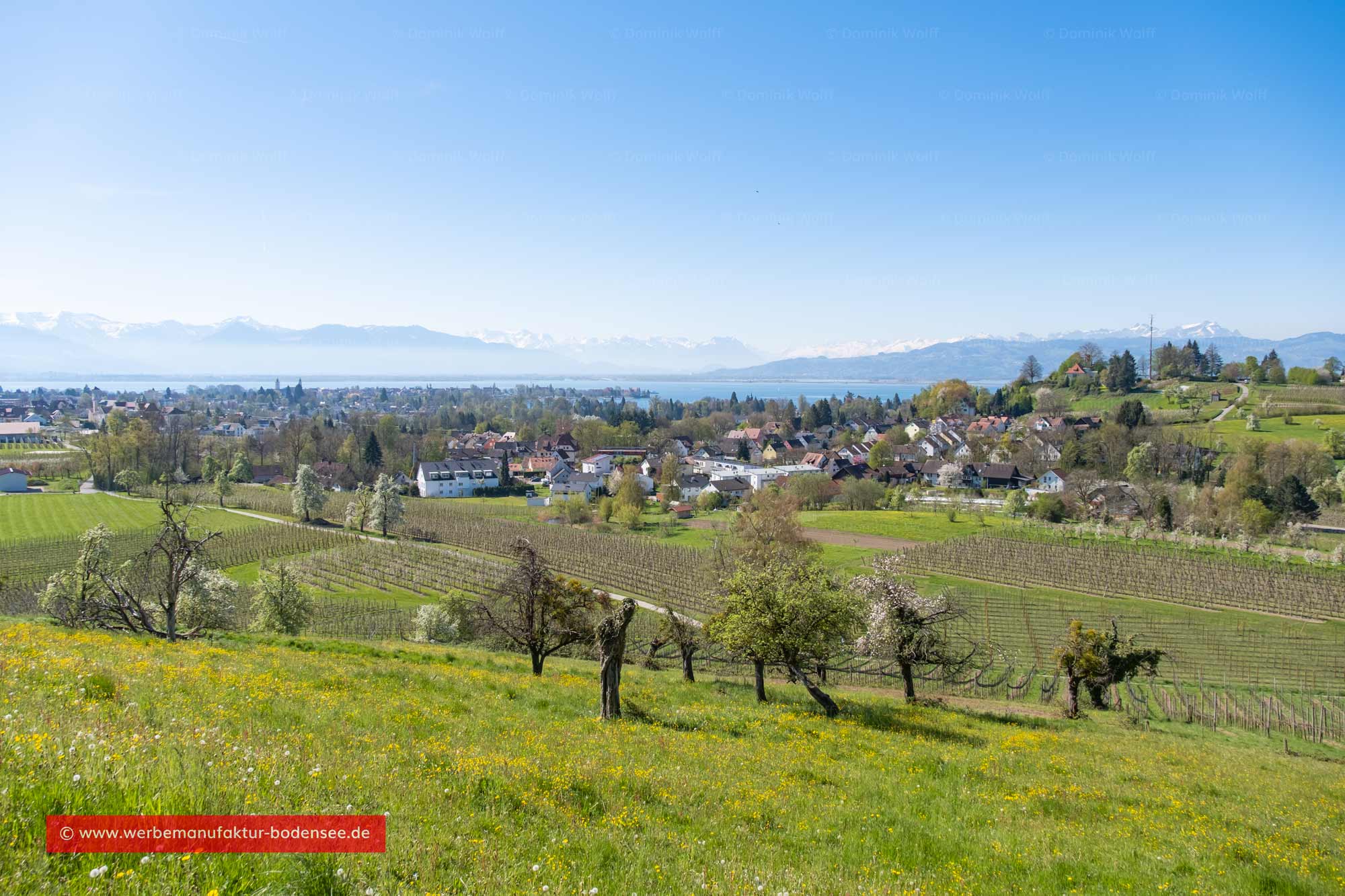 Bild + Foto - Hoyerberg - Lindau Aeschach