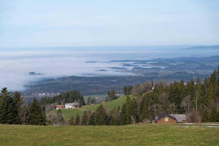Nebel über dem Bayerischen Bodensee