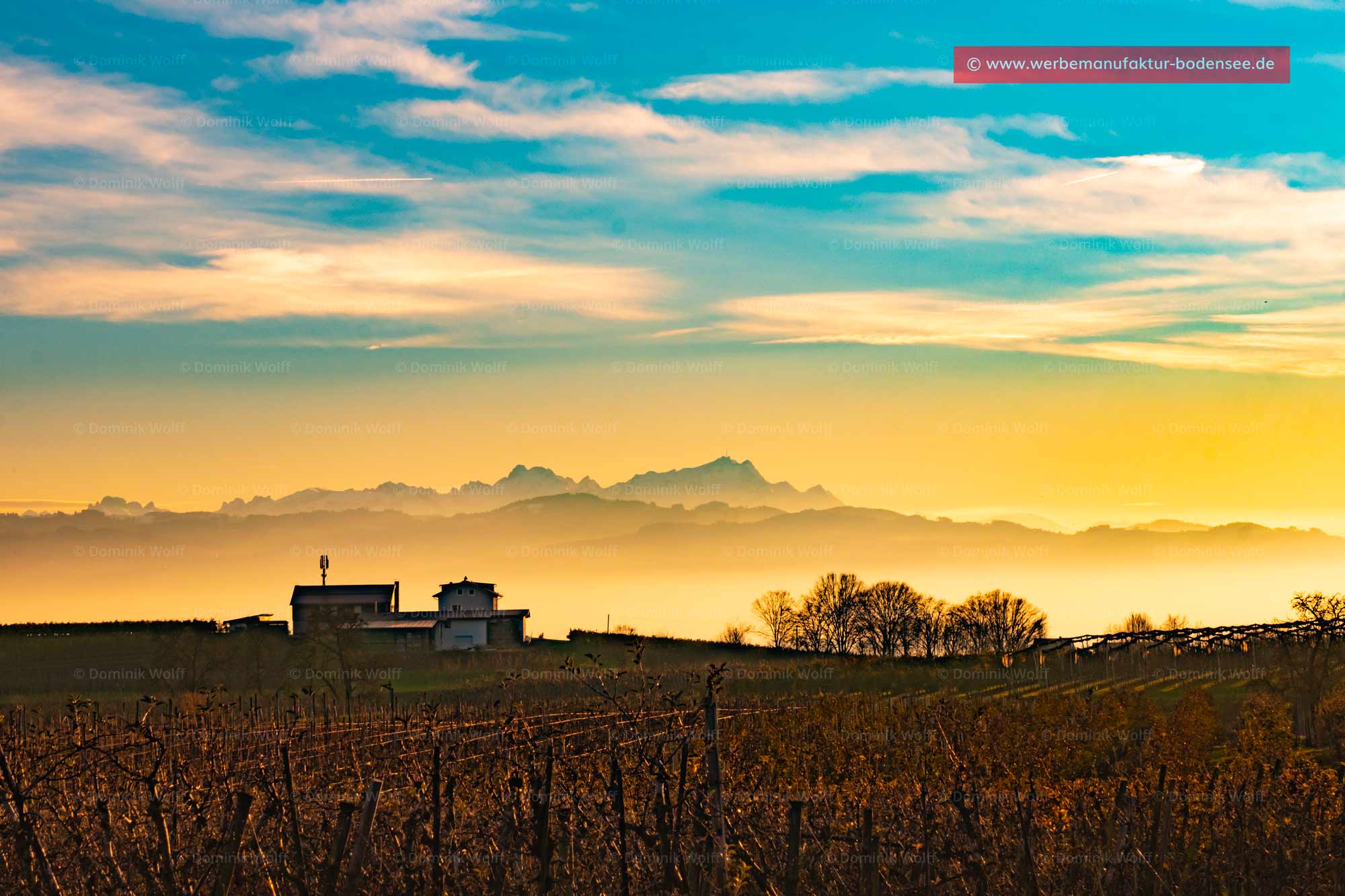 Bild + Foto - Bodensee mit Alpen (Alpstein)
