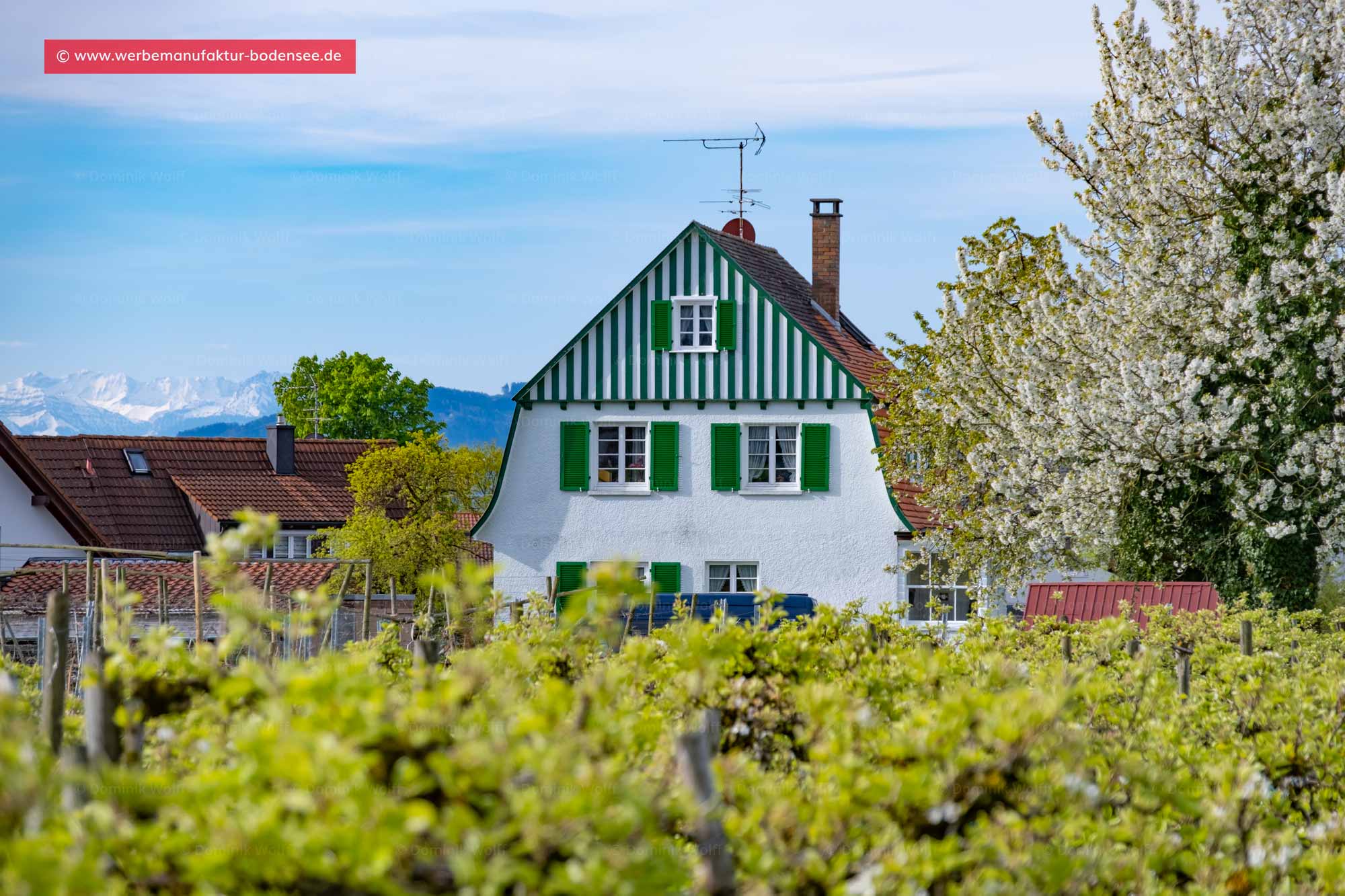 Bild + Foto - Schönes Leben in Nonnenhorn am Bayerischen Bodensee