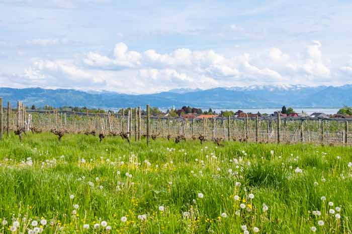 Nonnenhorn am Bayerischen Bodensee