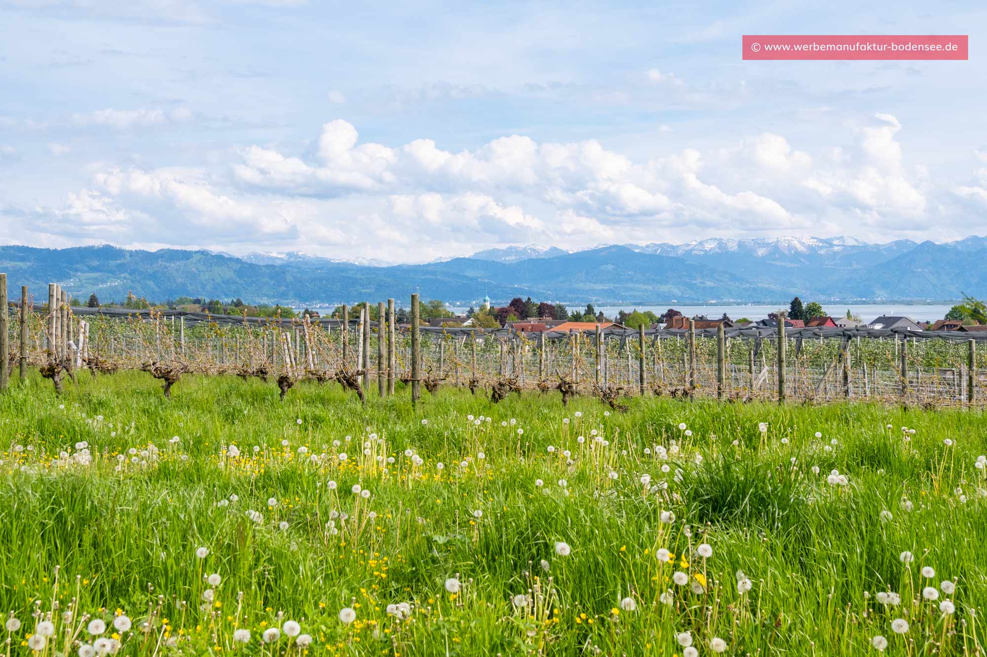 Bild + Foto - Nonnenhorn am Bayerischen Bodensee