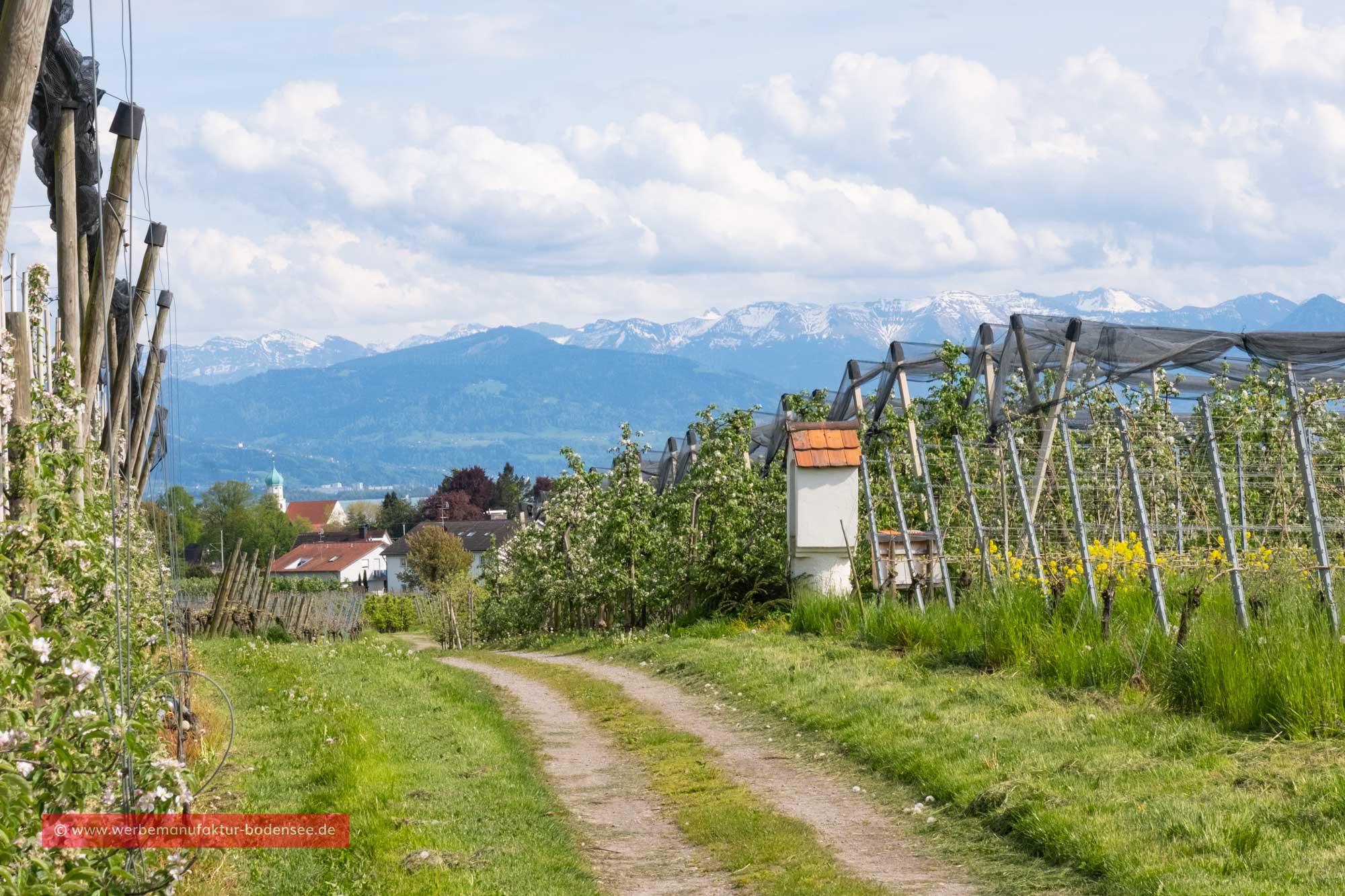 Wanderweg am Bayerischen Bodensee