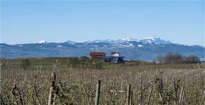 Herbst am Bayerischen Bodensee