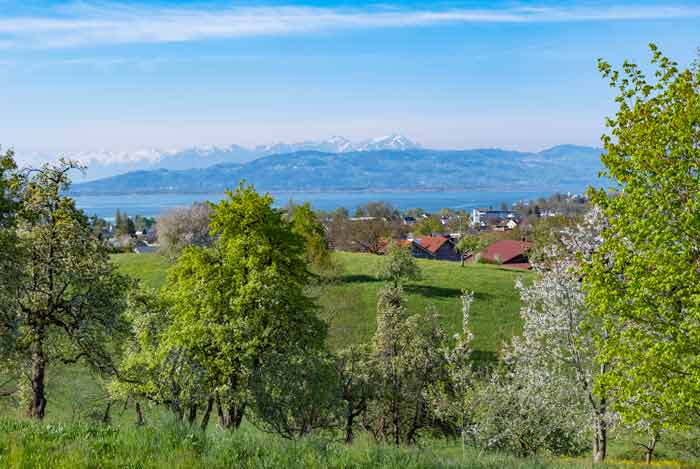 Bodenseeblick vom oberen Wannental