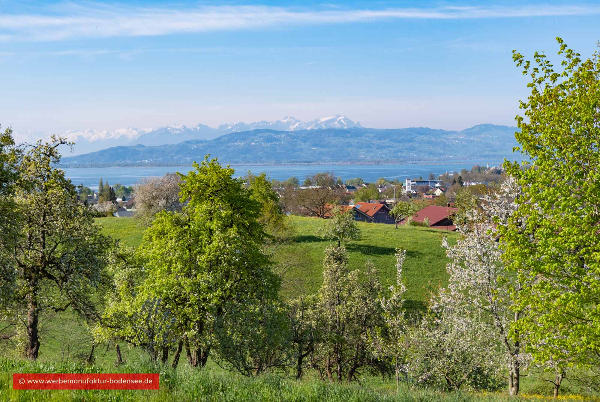 Bodenseeblick vom oberen Wannental