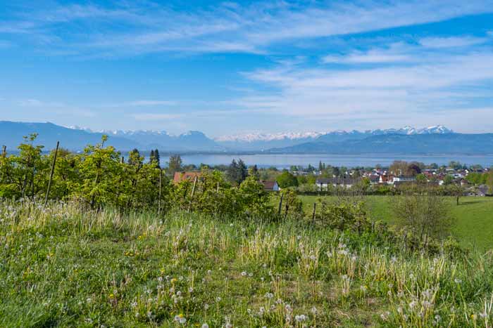 Blick über Lindau am Bodensee