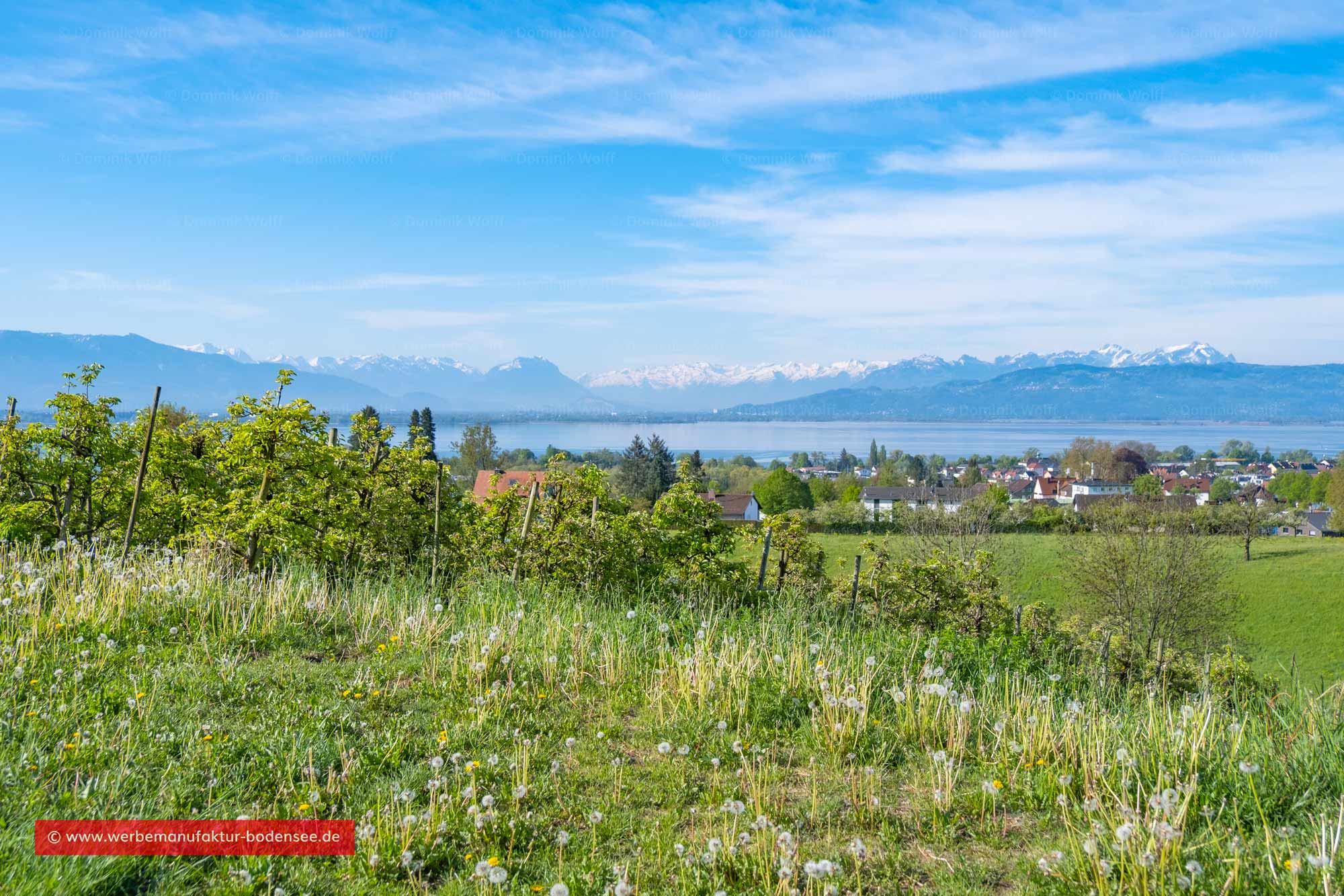 Blick über Lindau am Bodensee