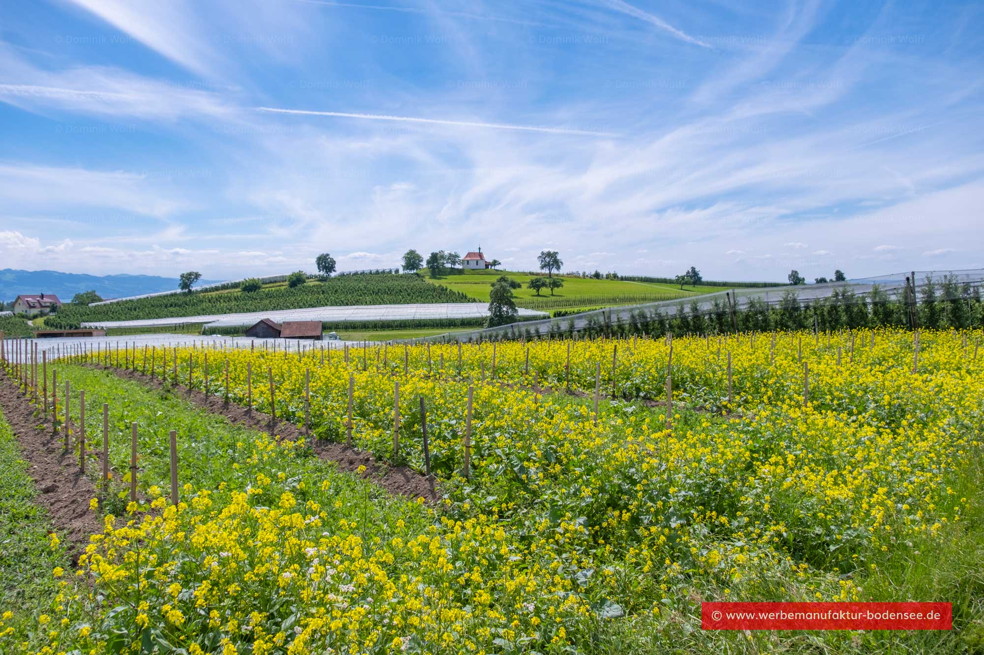 Moränenlandschaft am Bodensee