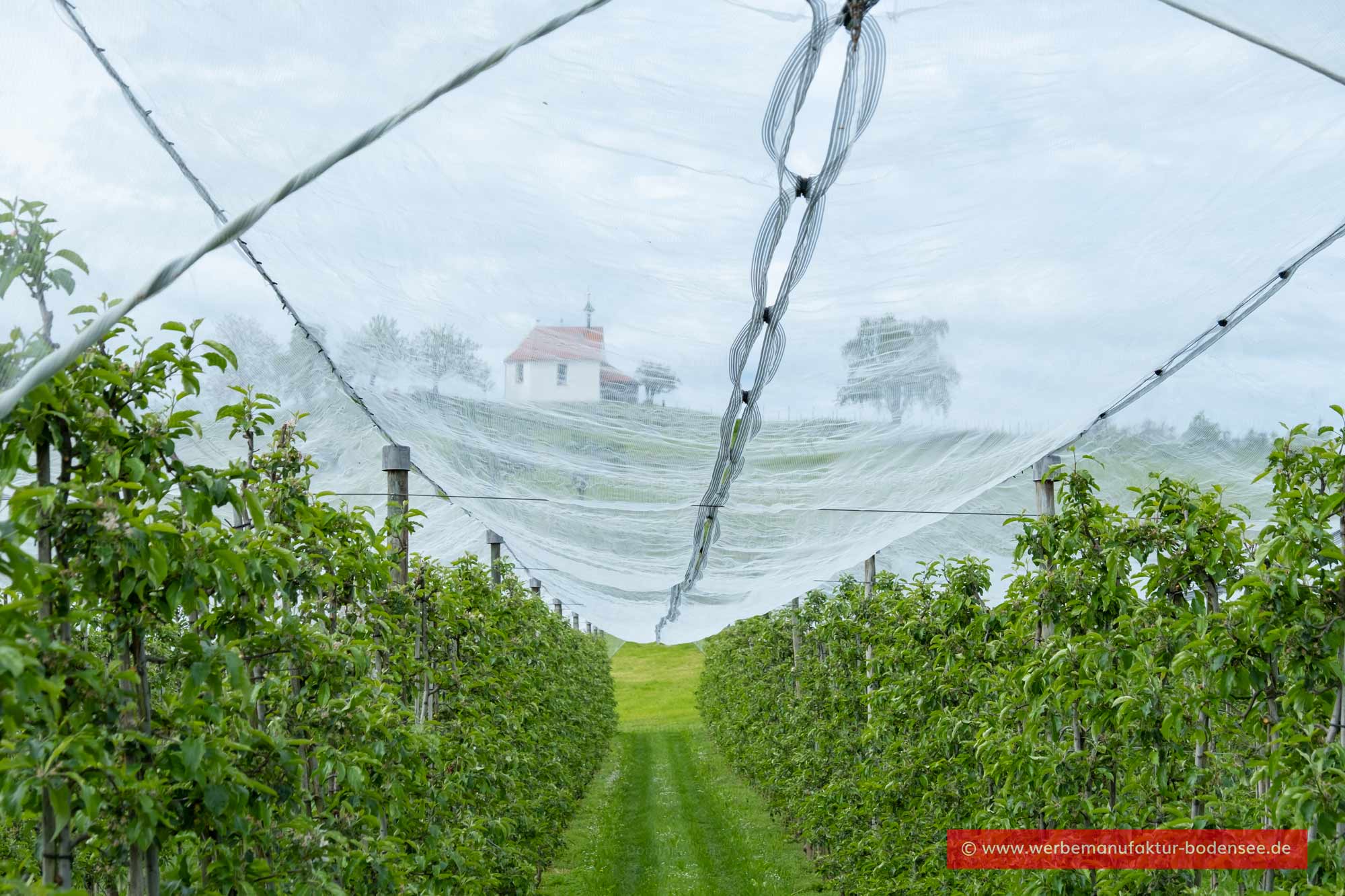 Obstanbau am Bayerischen Bodensee